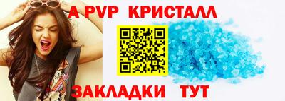 крисы Камышлов