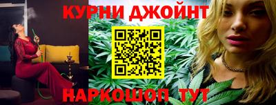 крисы Камышлов