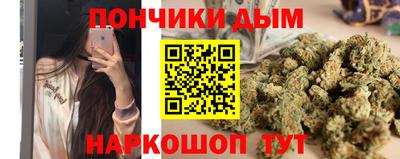 крисы Камышлов
