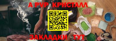 крисы Камышлов